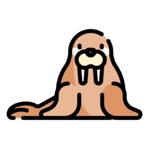 How To Draw A Walrus In (8) Easy Steps