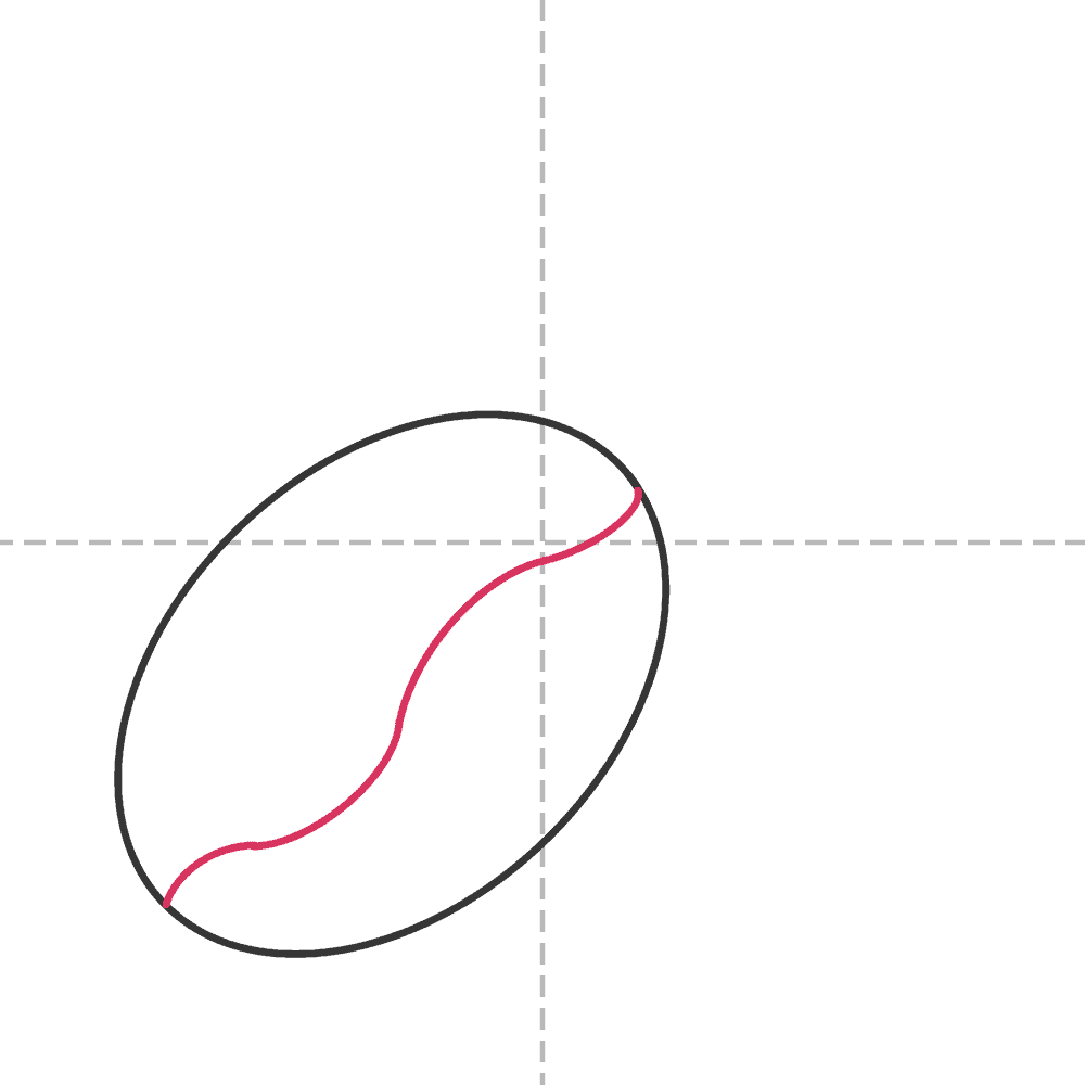how to draw a coffee bean step 2