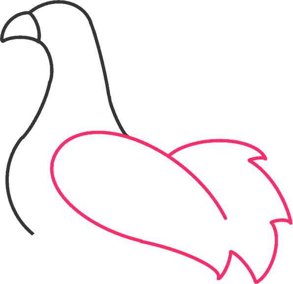 how to draw a rooster step 3