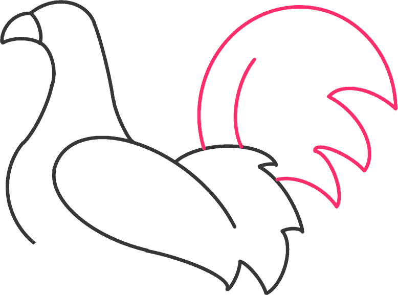 how to draw a rooster step 4