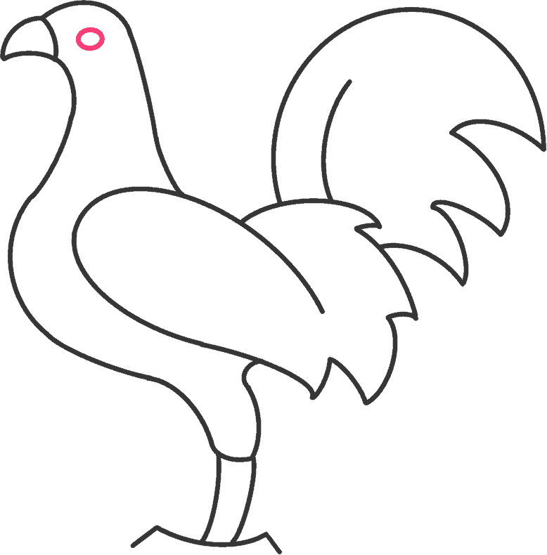 how to draw a rooster step 6