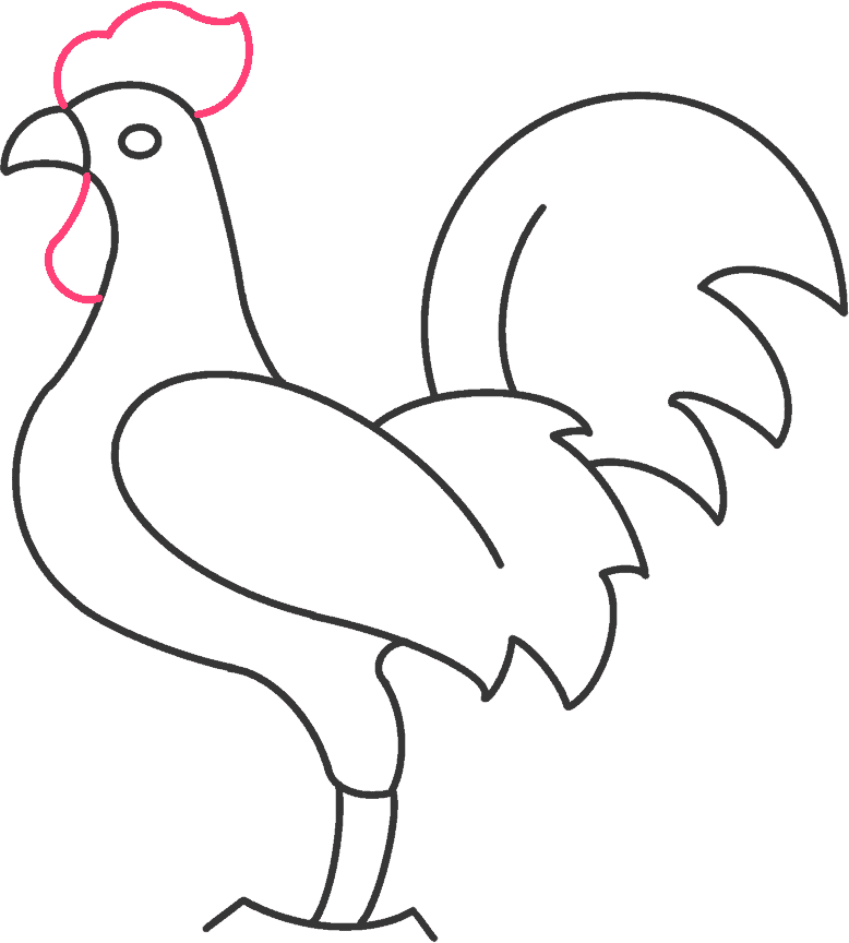 how to draw a rooster step 7