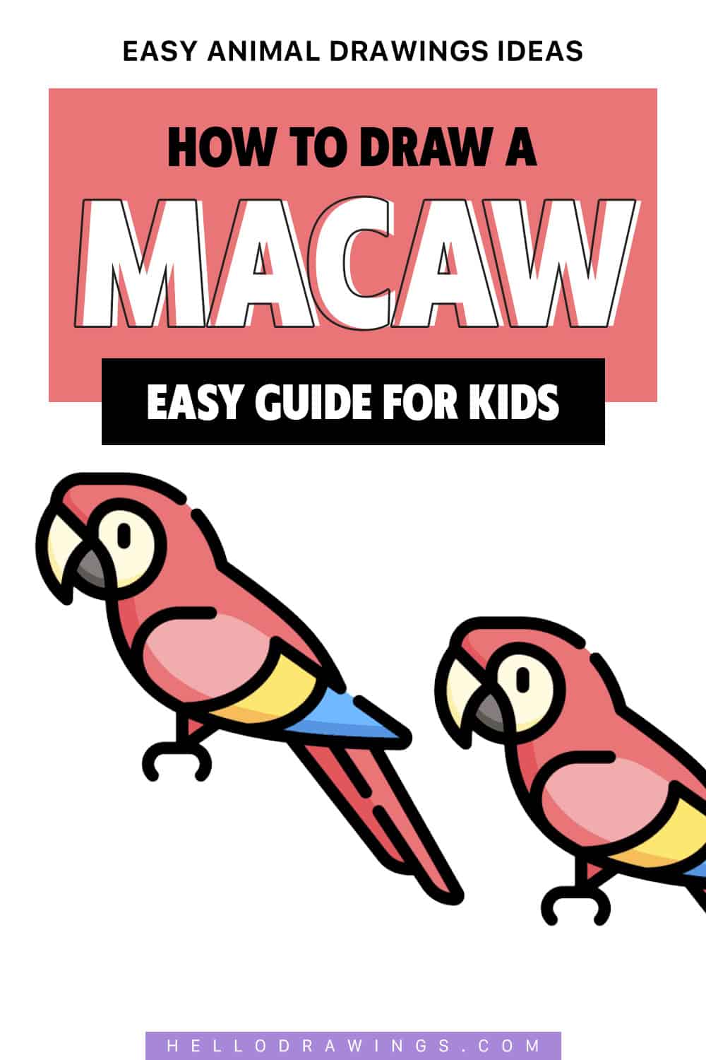 macaw drawing tutorial for kids